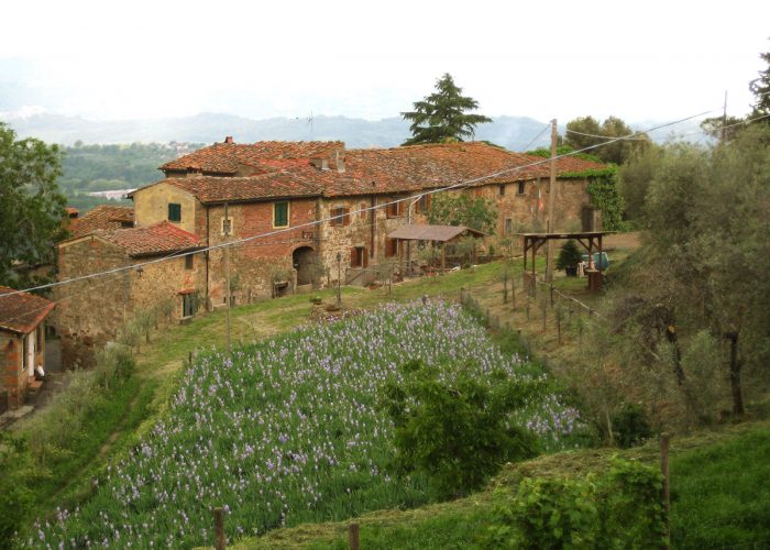 The agriculture company “Il Sogno” - Villa Guarnaschelli