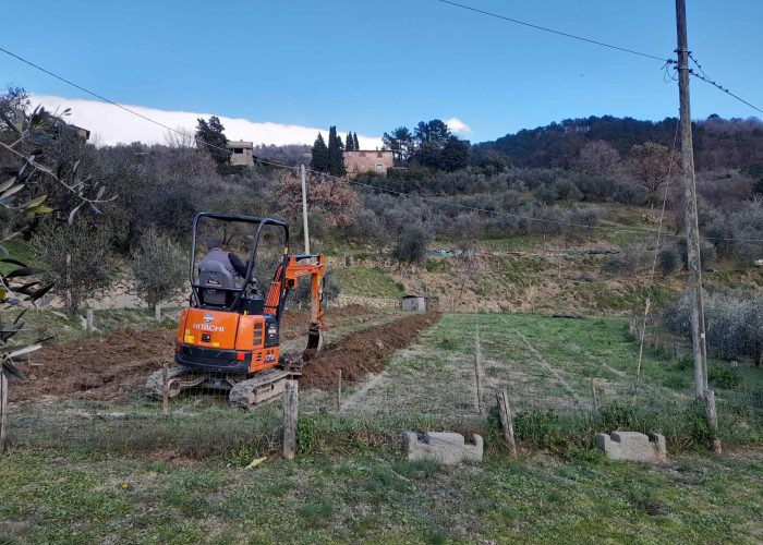Lavori In Vigna, Vendemmia e Lavori In Cantina (1)
