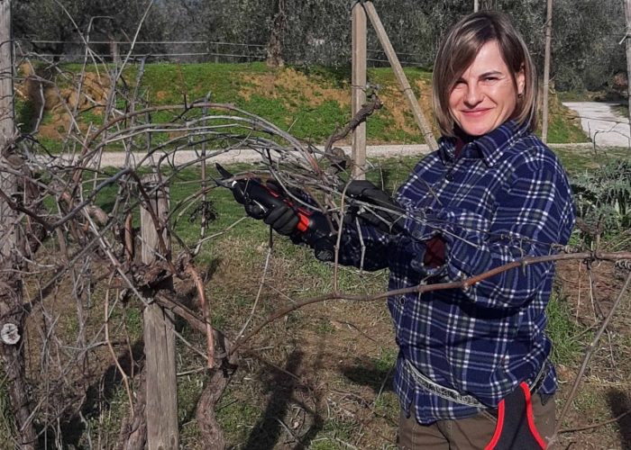 Lavori In Vigna, Vendemmia e Lavori In Cantina (10)