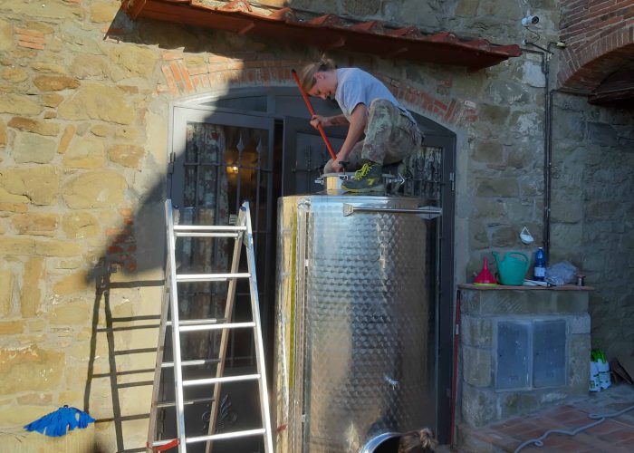 Lavori In Vigna, Vendemmia e Lavori In Cantina (22)