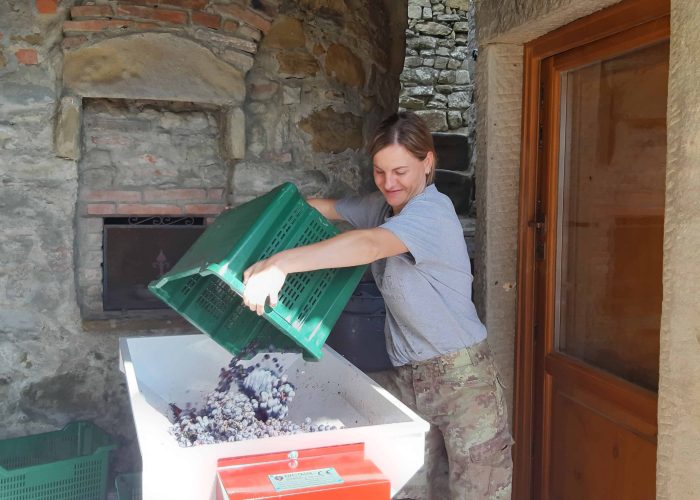 Lavori In Vigna, Vendemmia e Lavori In Cantina (27)