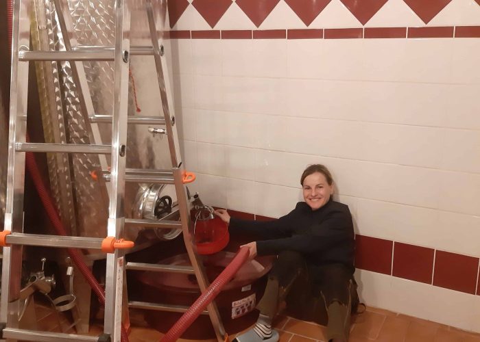 Lavori In Vigna, Vendemmia e Lavori In Cantina (29)