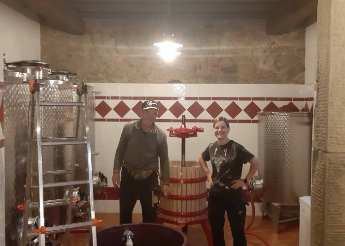 Lavori In Vigna, Vendemmia e Lavori In Cantina (35)