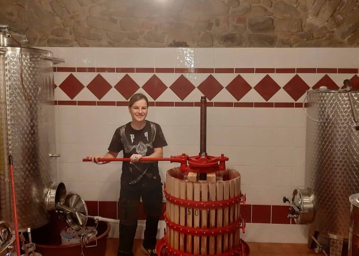 Lavori In Vigna, Vendemmia e Lavori In Cantina (38)