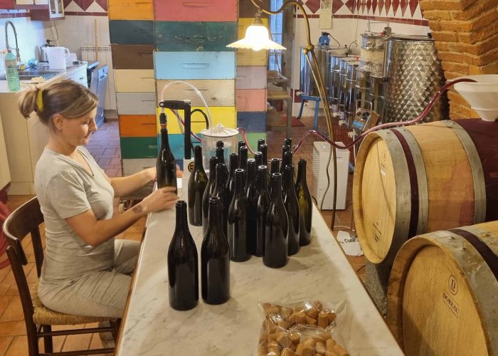 Lavori In Vigna, Vendemmia e Lavori In Cantina (46)