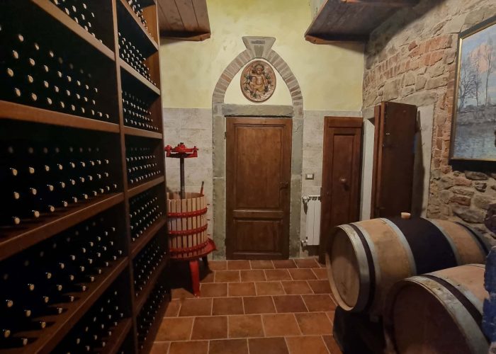 Lavori In Vigna, Vendemmia e Lavori In Cantina (49)