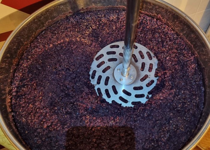 Lavori In Vigna, Vendemmia e Lavori In Cantina (56)