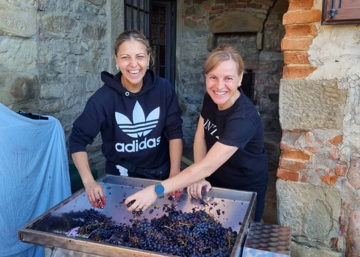 Lavori In Vigna, Vendemmia e Lavori In Cantina (60)